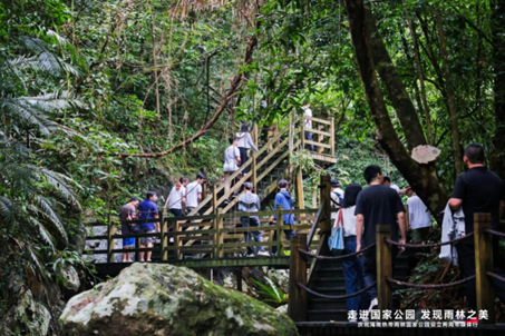 回归自然，发现海南热带雨林之美