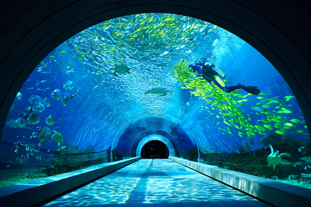 涛 - 海洋餐厅隧道.jpg