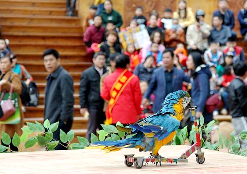 农业公园1.jpg